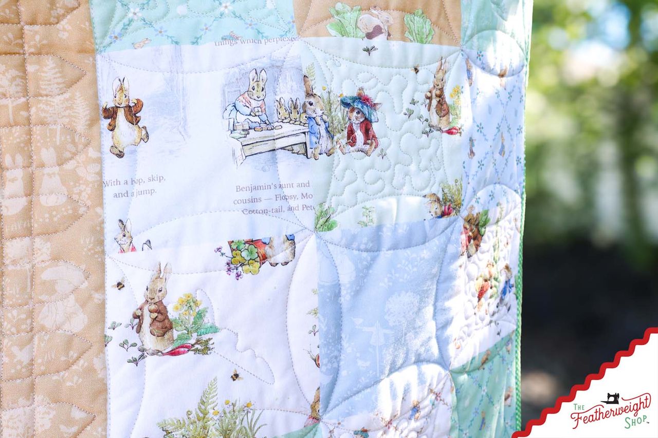 Quilt Kit, Boxed Set - Peter's Garden Adventure Panel Quilt