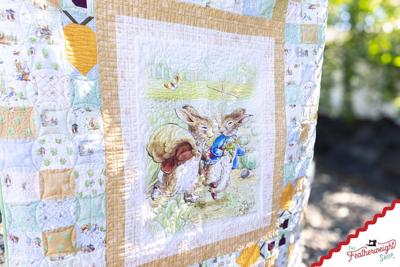 Quilt Kit, Boxed Set - Peter's Garden Adventure Panel Quilt