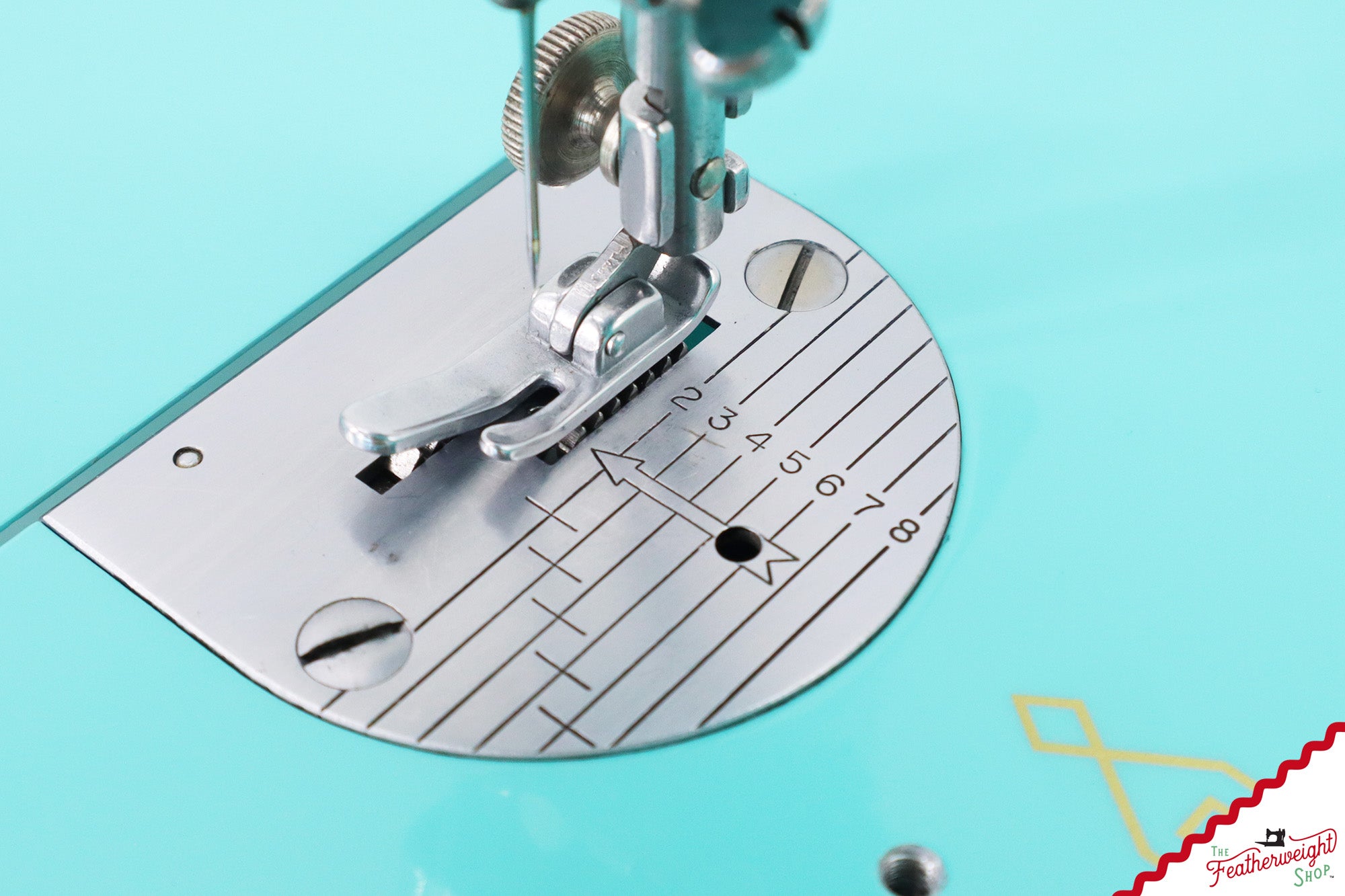 Singer Featherweight 221, AM781*** - Fully Restored in Tiffany Blue