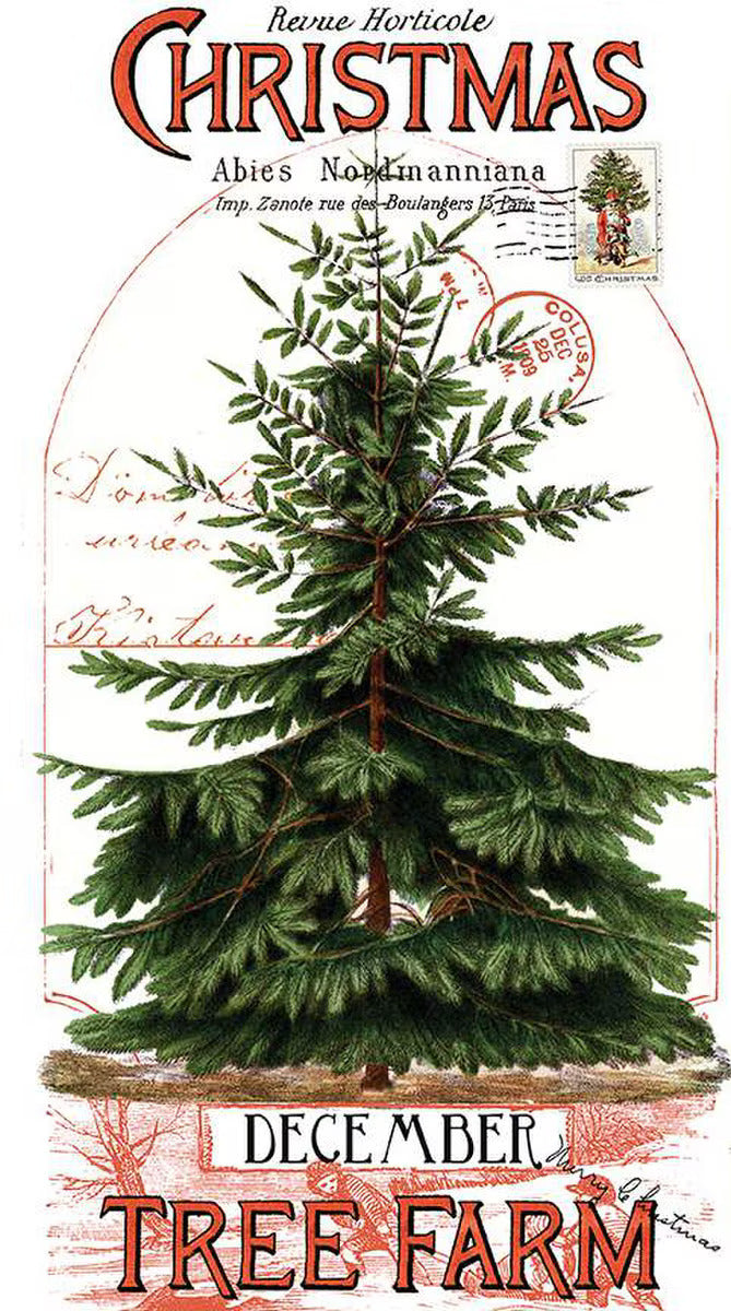 Fabric, Classic Christmas - Christmas Botanical PANEL by J. Wecker Frisch