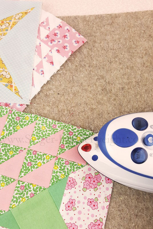 Steam Iron - Travel Size, Dual Voltage