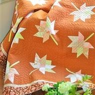 PATTERN, TWIRL REVISITED Quilt by Fig Tree & Co.