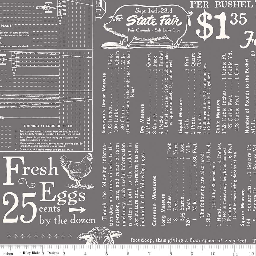 Fabric, Farm Girl Vintage by Lori Holt WIDE BACK 108" FARM LIFE STEEL (by the yard)