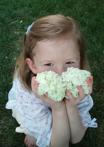 Summer Snowballs