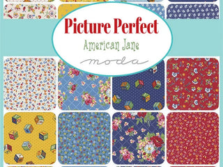 Load image into Gallery viewer, Fabric, Picture Perfect by American Jane - JELLY ROLL