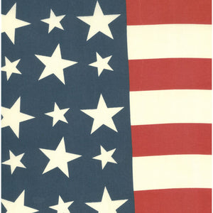 Fabric, 19-Inch Toweling - AMERICAN FLAG Bunting (by the yard)