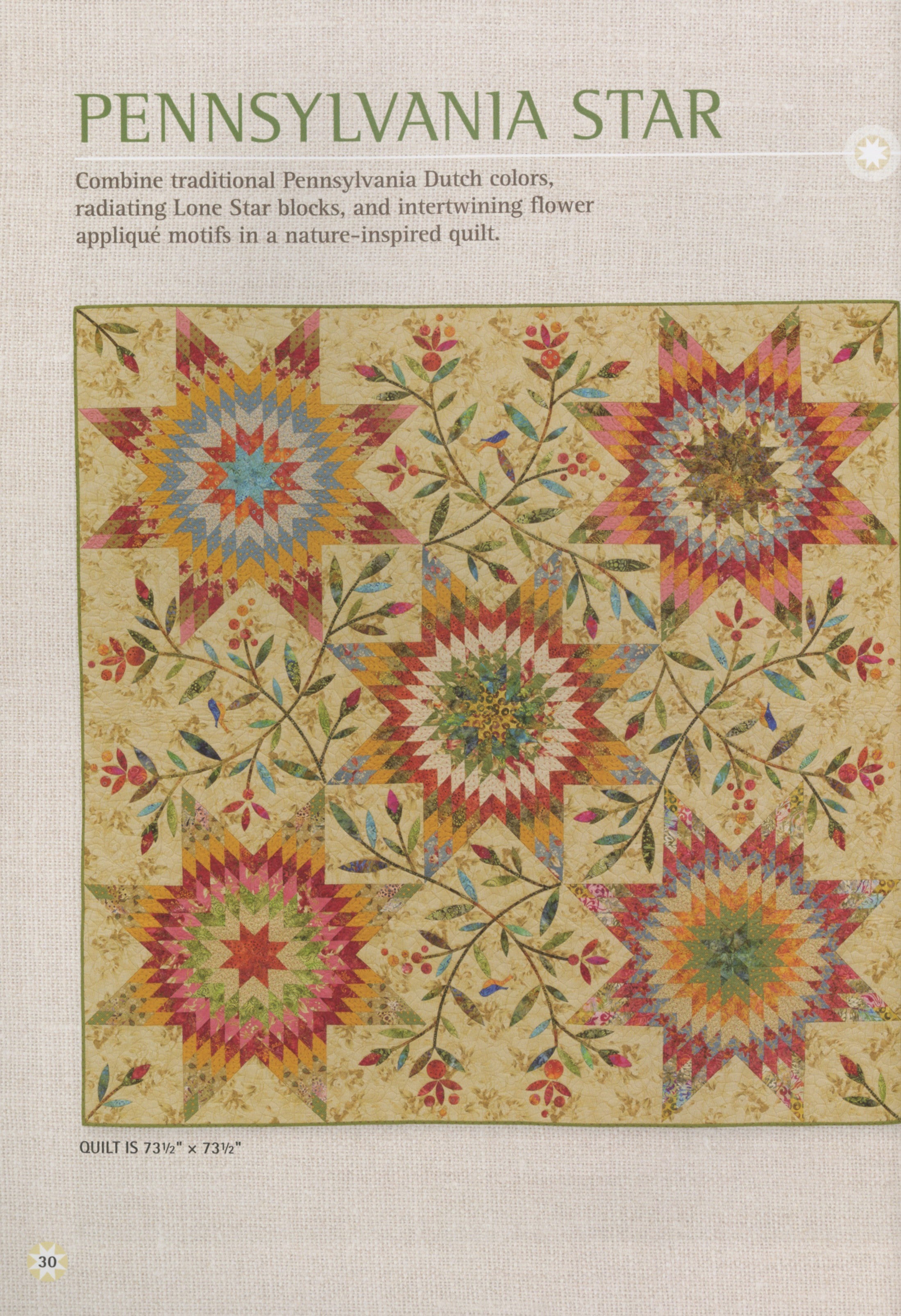 PATTERN BOOK - Patches of Stars by Edyta Sitar for Laundry Basket Quilts