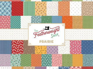 Load image into Gallery viewer, Fabric, Prairie by Lori Holt SAMPLER CIDER (by the yard)