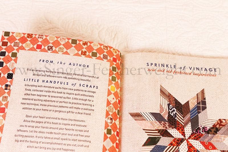 PATTERN BOOK - Little Handfuls of Scraps by Edyta Sitar for Laundry Basket Quilts