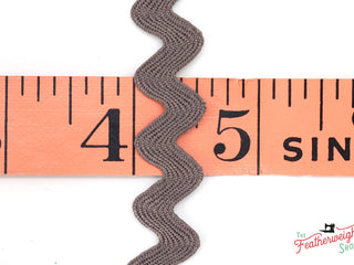 Load image into Gallery viewer, 3/8&quot; Inch STEEL VINTAGE TRIM RIC RAC by Lori Holt (by the yard)