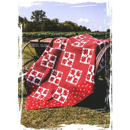 Red and White Quilt